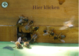 Hier klicken