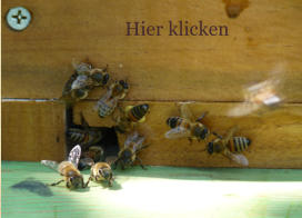 Hier klicken